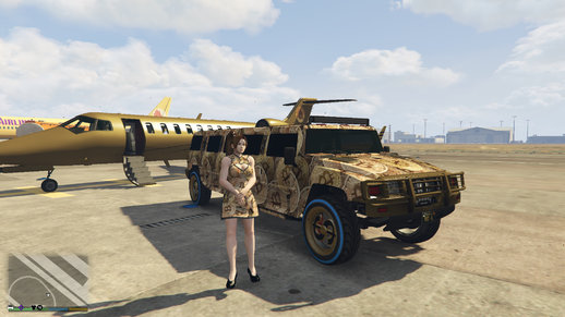 BitCoin Vehicle Camo