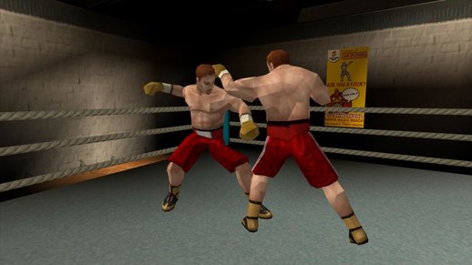 Boxers from Showtime Championship Boxing DS