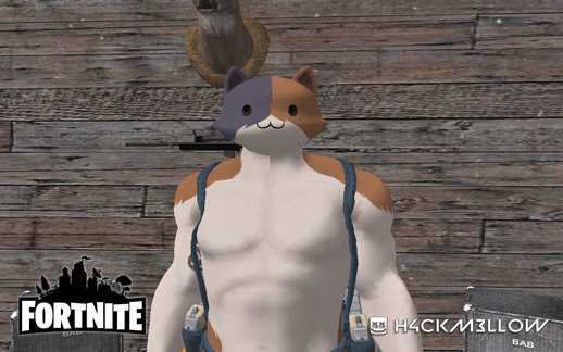 Fortnite Meowscles