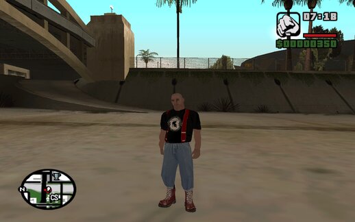 Skinhead Gang Against Racial Prejudice