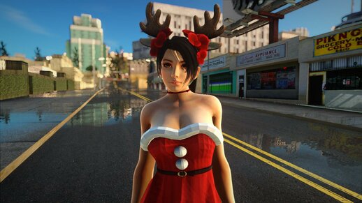 Momiji Xmas Set 