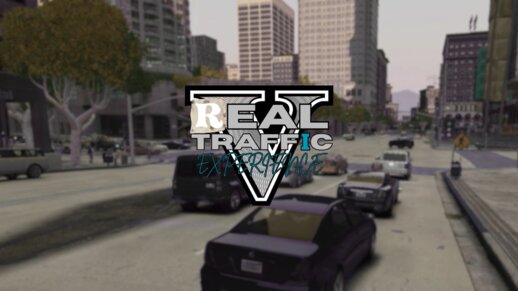 Real Traffic Experience V [OIV]