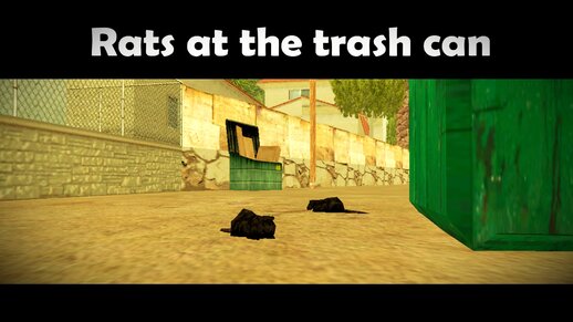 Rats At The Trash Can