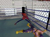 Asuka Kasen (GTA 3) (Human Spider Outfit)