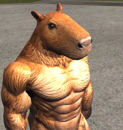 Capivara