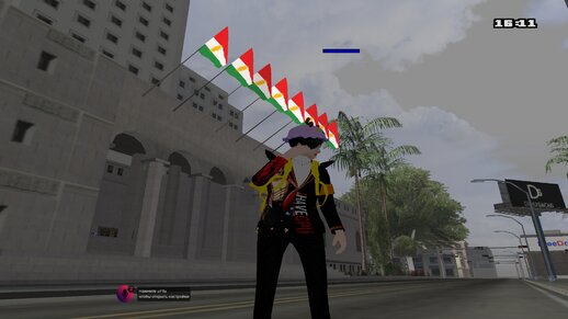 Kurdish Flag On Cityhall