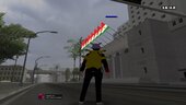 Kurdish Flag On Cityhall