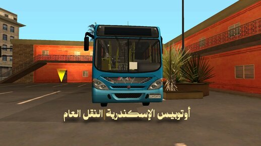 Egyption Bus (Alexandria)