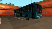 Egyption Bus (Alexandria)