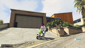 Pizza Delivery Job v1.0