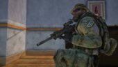 Austria RS556 Assault Rifle