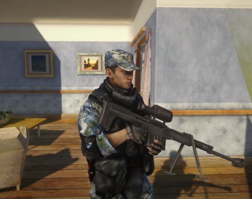 China QBU-10 Anti-Material Rifle