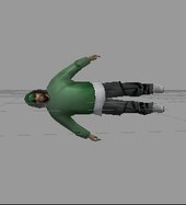 Grove Street Families