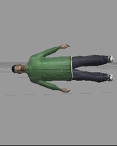 Grove Street Families