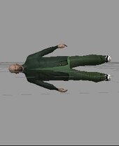 Grove Street Families