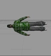 Grove Street Families