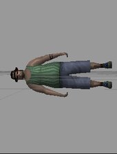 Grove Street Families