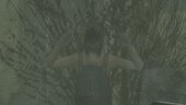 The origin of The House of the Death