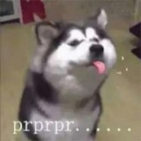 Vic